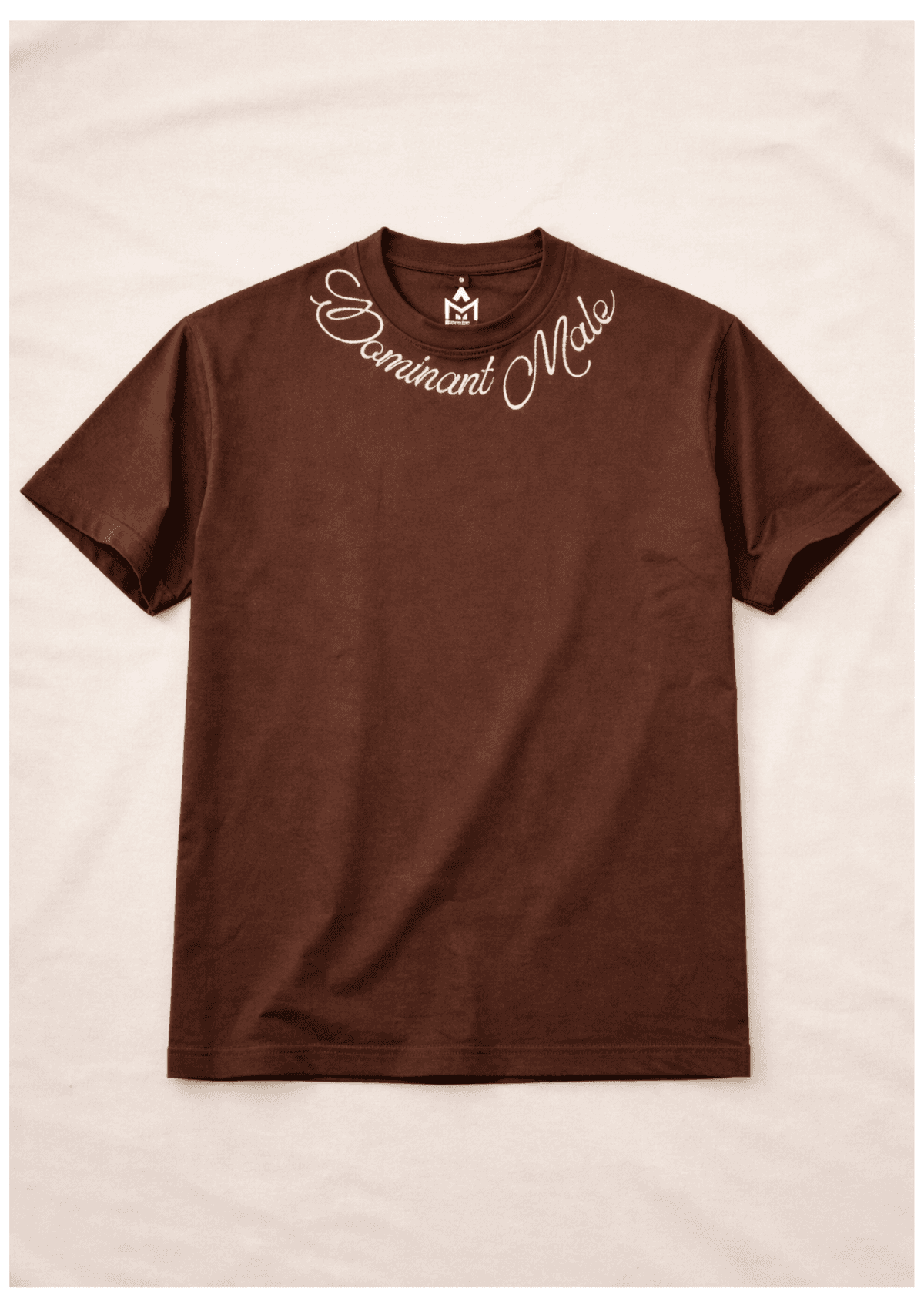 DOMINANT MALE OVERSIZED EMBROIDERED TEE | 210 GSM Graphic Embroidered Premium Brown color Tee