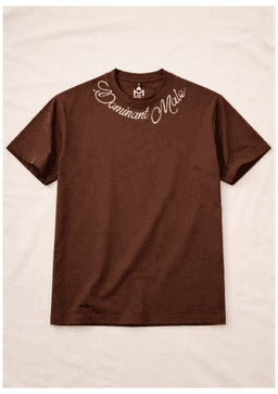 DOMINANT MALE OVERSIZED EMBROIDERED TEE | 210 GSM Graphic Embroidered Premium Brown color Tee - Image 1