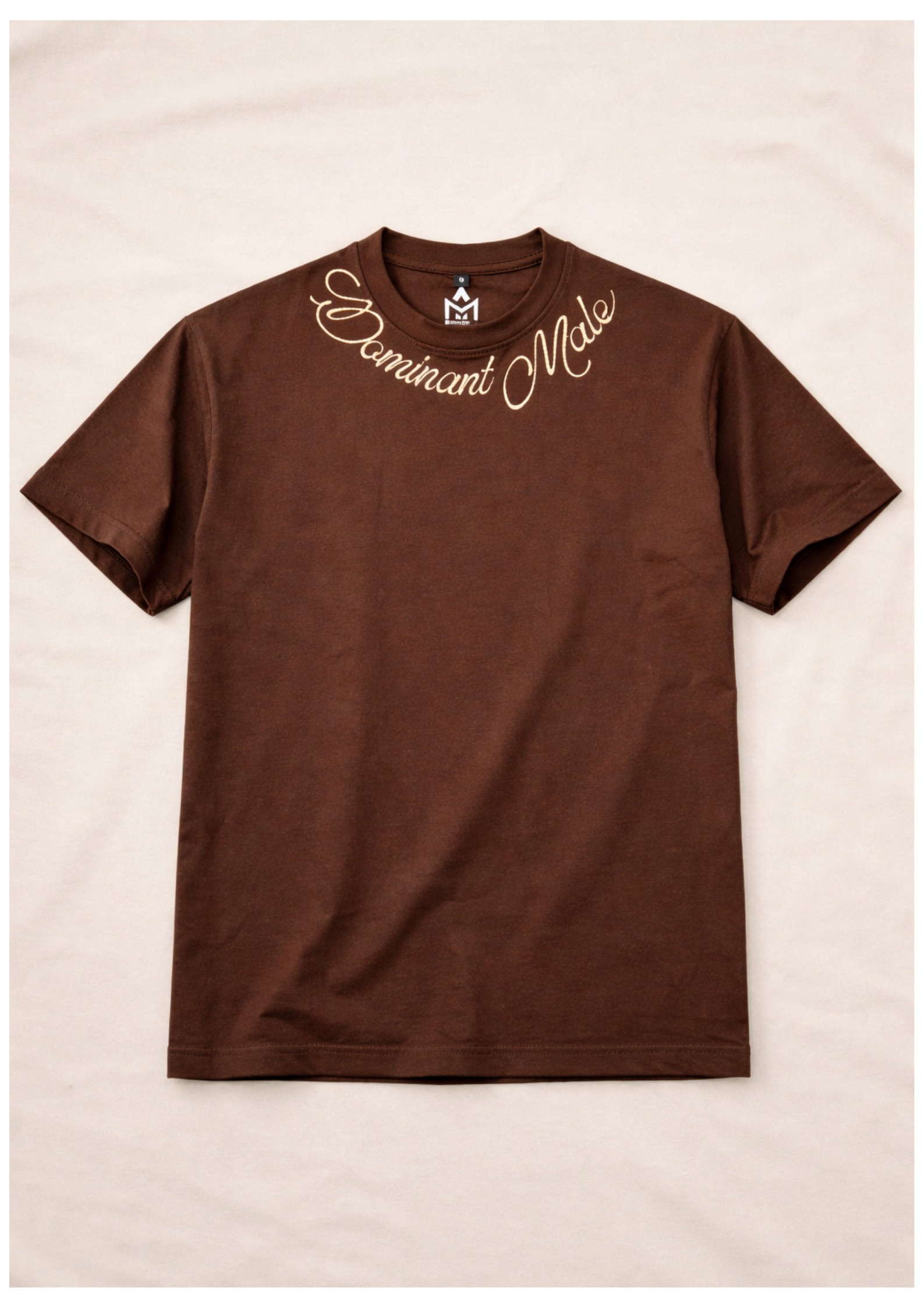 DOMINANT MALE OVERSIZED EMBROIDERED TEE | 210 GSM Graphic Embroidered Premium Brown color Tee