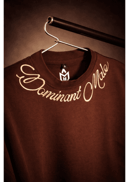 DOMINANT MALE OVERSIZED EMBROIDERED TEE | 210 GSM Graphic Embroidered Premium Brown color Tee - Image 3