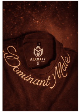 DOMINANT MALE OVERSIZED EMBROIDERED TEE | 210 GSM Graphic Embroidered Premium Brown color Tee - Image 5