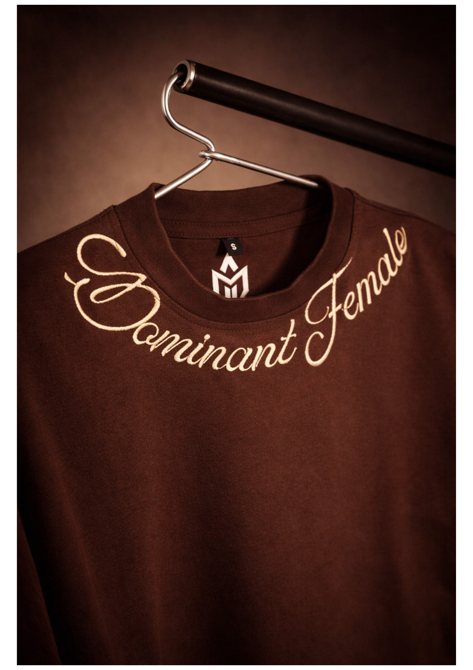 DOMINANT FEMALE OVERSIZED EMBROIDERED TEE | 210 GSM Graphic Embroidered Premium Brown color Tee